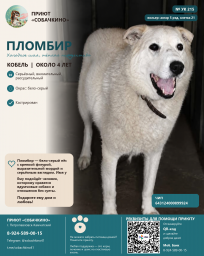 57364d17