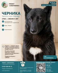 4665cfca