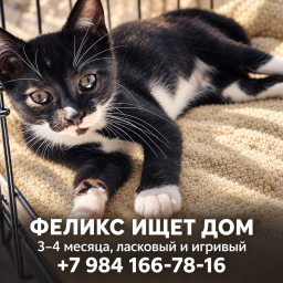 be46777c