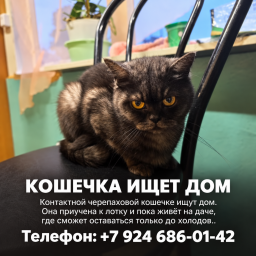 67756739