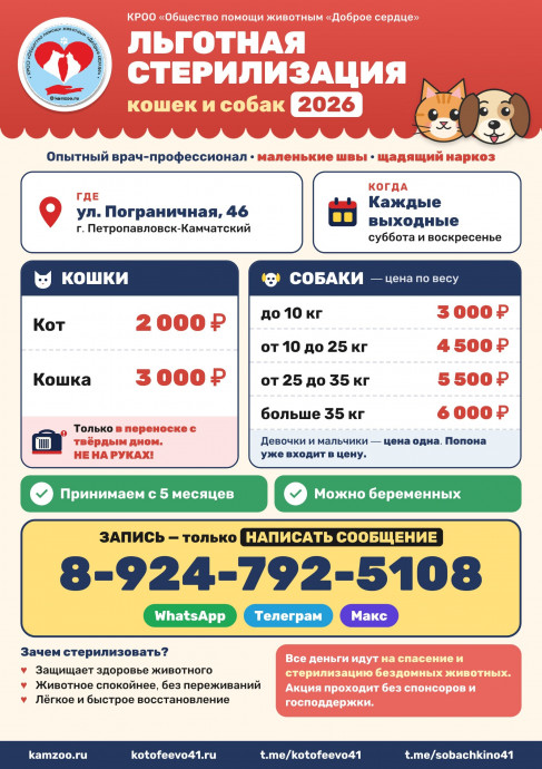 Льготная стерилизация кошек и собак — каждые выходные